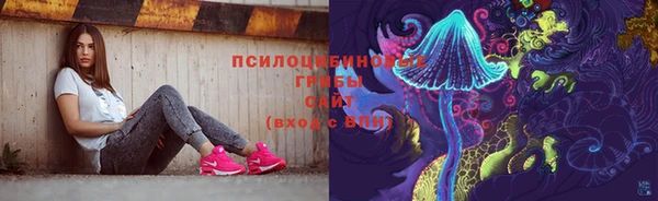 СК Абинск