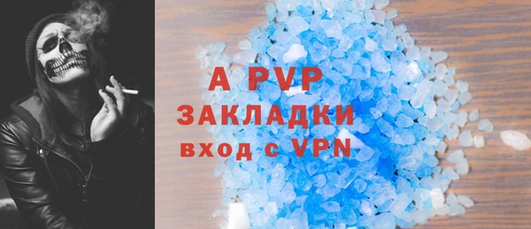СК Абинск