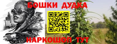 дмт Дубна
