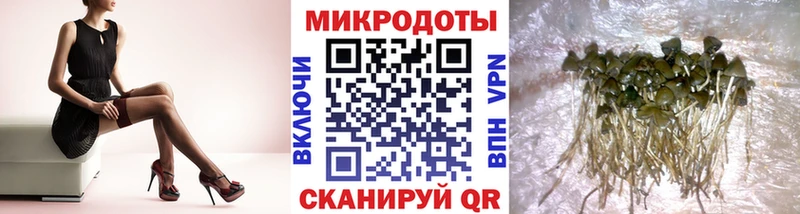 Галлюциногенные грибы Psilocybe  Ливны 