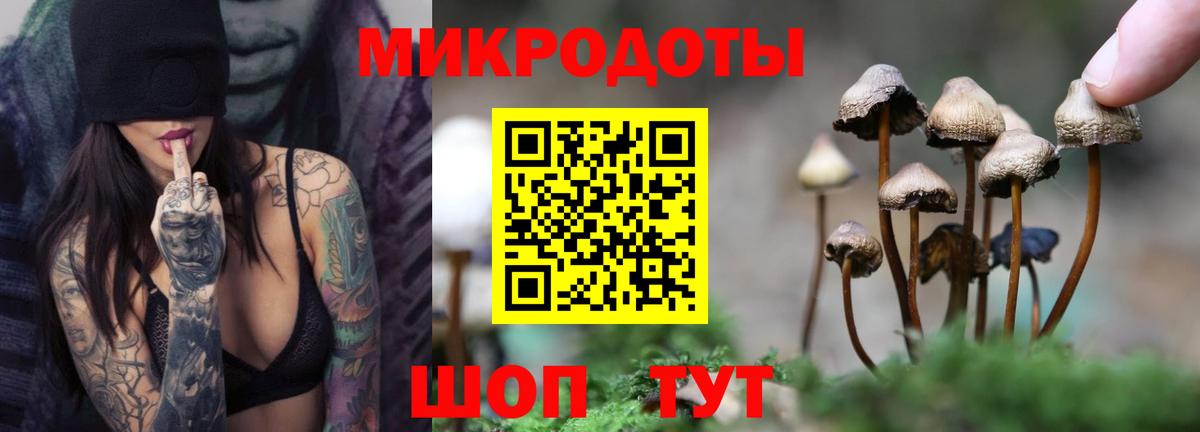Псилоцибиновые грибы Magic Shrooms  Вход с VPN  Ливны 